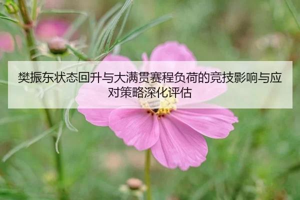 fan-zhen-dong-zhuang-tai-hui-sheng-yu-da-man-guan-sai-cheng-fu-he-de-jing-ji-ying-xiang-yu-ying-dui-ce-lve-shen-hua-2-171.jpg