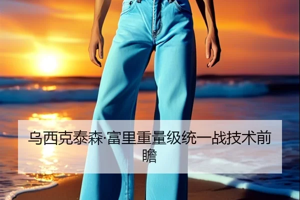 乌西克泰森·富里重量级统一战技术前瞻